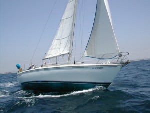 Wiley is the perfect boat for economy sail charter
