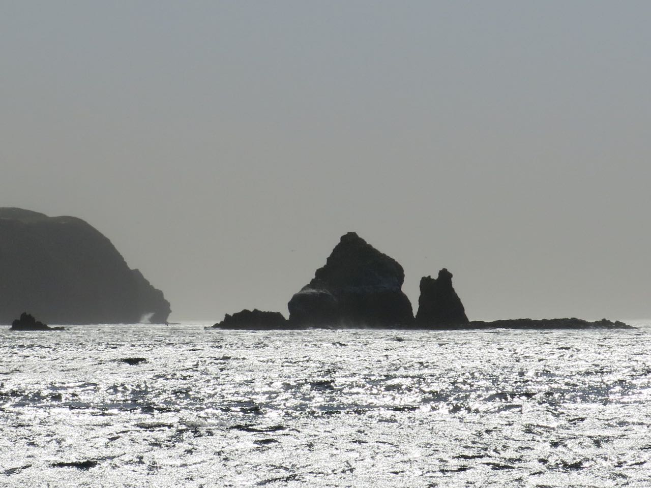 Go to Cat Rock on Santa Cruz Islands with Capt. Dan Ryder and Sai Channel Islands